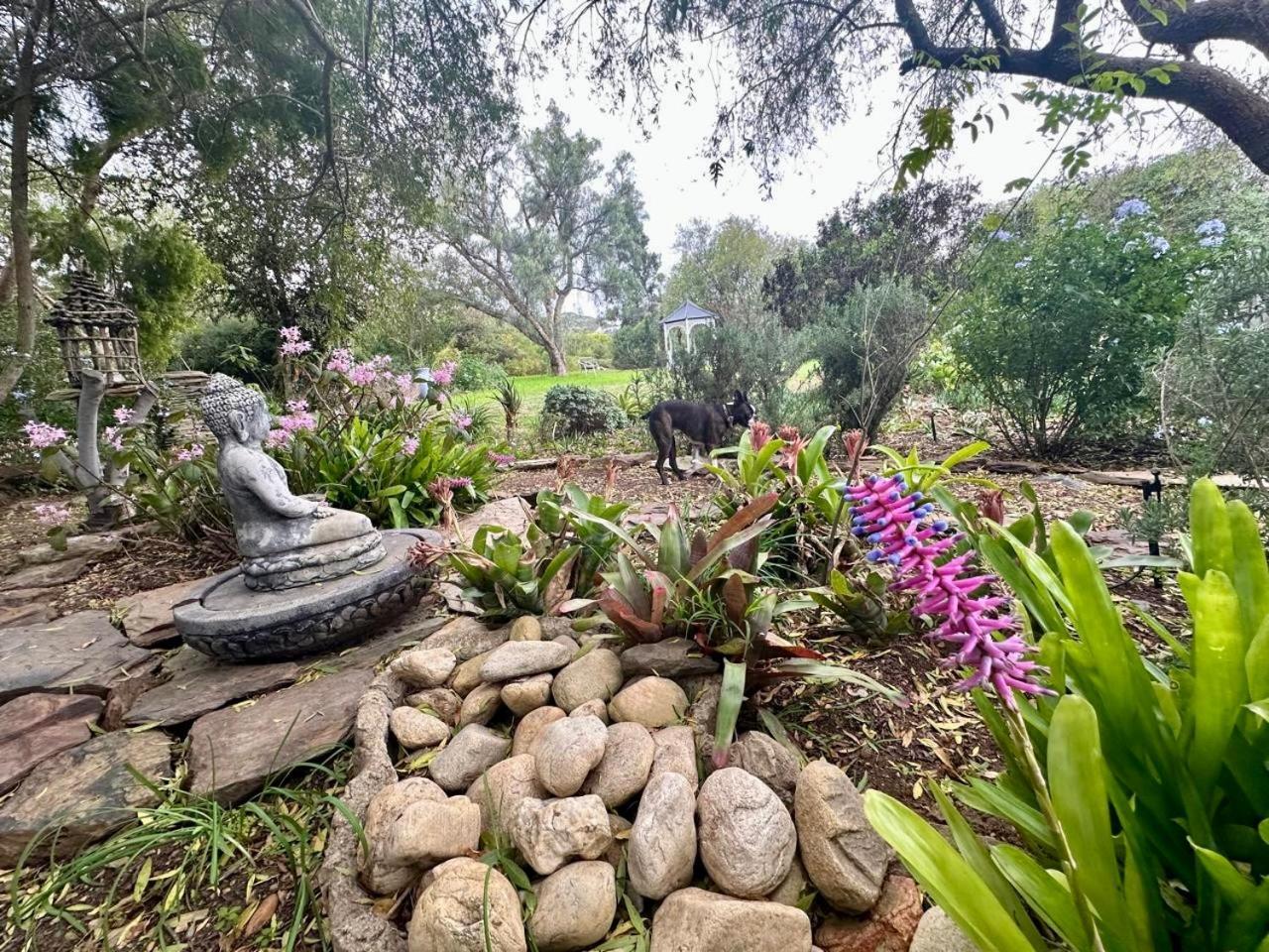 Tradouw Guesthouse Barrydale Bagian luar foto
